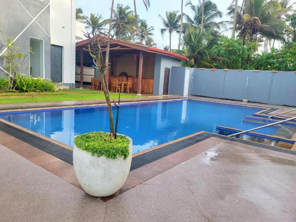 Canela Villa And Resort آهانغاما المظهر الخارجي الصورة